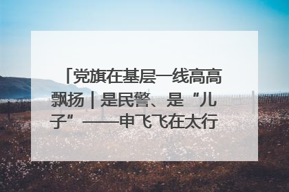 党旗在基层一线高高飘扬｜是民警、是“儿子”——申飞飞在太行山中的一线坚守