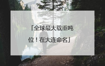 全球最大载重吨位！在大连命名