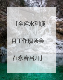 全省水利项目工作现场会在永春召开