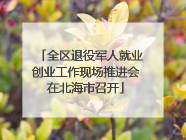 全区退役军人就业创业工作现场推进会在北海市召开