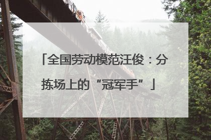 全国劳动模范汪俊：分拣场上的“冠军手”