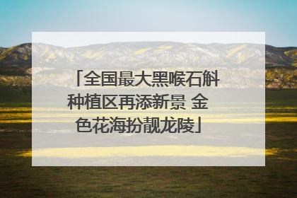 全国最大黑喉石斛种植区再添新景 金色花海扮靓龙陵
