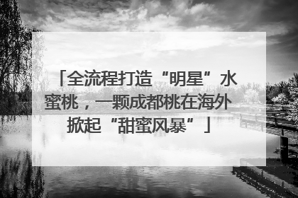 全流程打造“明星”水蜜桃，一颗成都桃在海外掀起“甜蜜风暴”