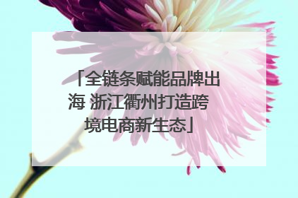 全链条赋能品牌出海 浙江衢州打造跨境电商新生态