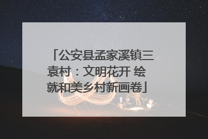 公安县孟家溪镇三袁村：文明花开 绘就和美乡村新画卷