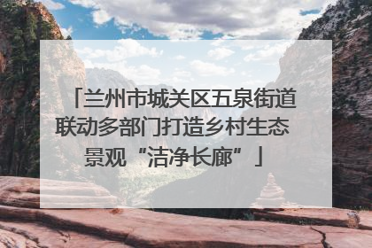 兰州市城关区五泉街道联动多部门打造乡村生态景观“洁净长廊”