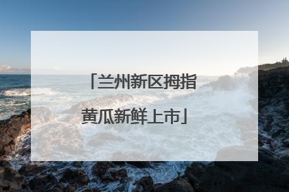 兰州新区拇指黄瓜新鲜上市