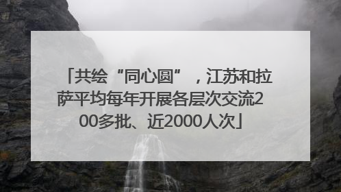 共绘“同心圆”，江苏和拉萨平均每年开展各层次交流200多批、近2000人次