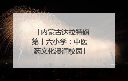 内蒙古达拉特旗第十六小学：中医药文化浸润校园