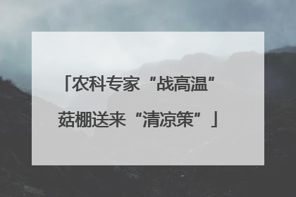 农科专家“战高温” 菇棚送来“清凉策”
