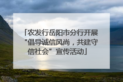 农发行岳阳市分行开展“倡导诚信风尚，共建守信社会”宣传活动