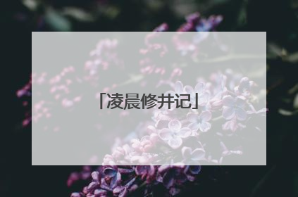 凌晨修井记