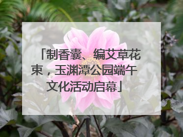 制香囊、编艾草花束，玉渊潭公园端午文化活动启幕