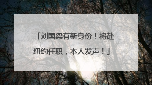 刘国梁有新身份！将赴纽约任职，本人发声！