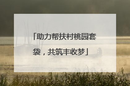 助力帮扶村桃园套袋，共筑丰收梦