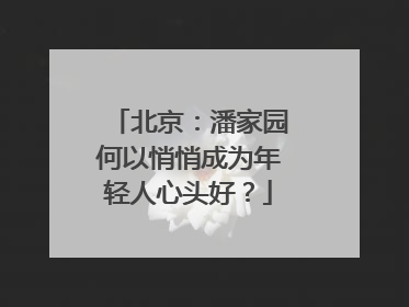 北京：潘家园何以悄悄成为年轻人心头好？