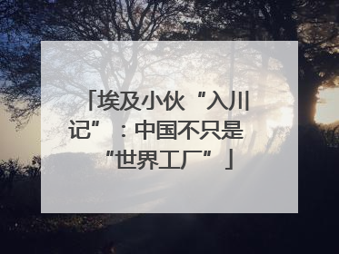埃及小伙“入川记”：中国不只是“世界工厂”