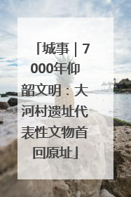 城事｜7000年仰韶文明：大河村遗址代表性文物首回原址