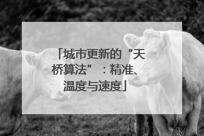 城市更新的“天桥算法”：精准、温度与速度