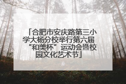 合肥市安庆路第三小学大杨分校举行第六届“和美杯”运动会暨校园文化艺术节