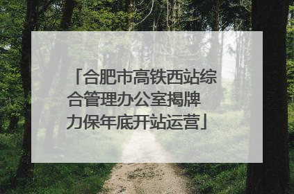 合肥市高铁西站综合管理办公室揭牌 力保年底开站运营