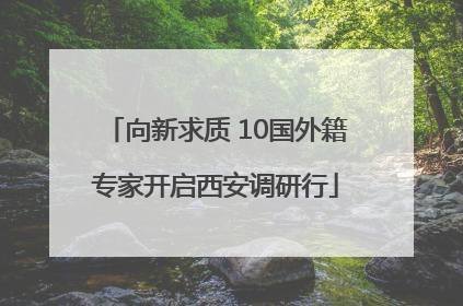 向新求质 10国外籍专家开启西安调研行
