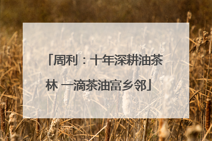 周利：十年深耕油茶林 一滴茶油富乡邻