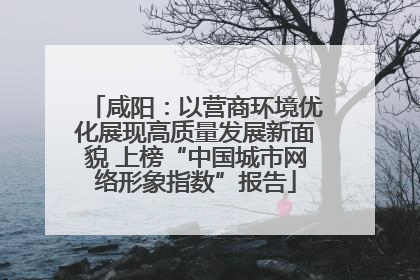 咸阳：以营商环境优化展现高质量发展新面貌 上榜“中国城市网络形象指数”报告