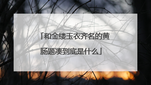 和金缕玉衣齐名的黄肠题凑到底是什么