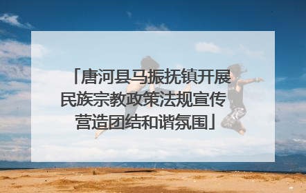 唐河县马振抚镇开展民族宗教政策法规宣传 营造团结和谐氛围