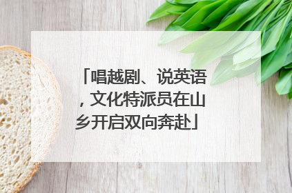 唱越剧、说英语，文化特派员在山乡开启双向奔赴