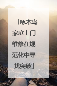 啄木鸟家庭上门维修在规范化中寻找突破