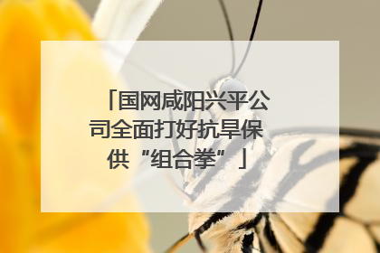 国网咸阳兴平公司全面打好抗旱保供“组合拳”