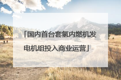 国内首台套氢内燃机发电机组投入商业运营