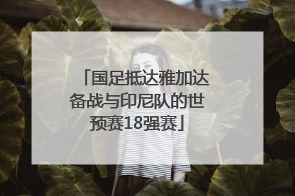 国足抵达雅加达备战与印尼队的世预赛18强赛