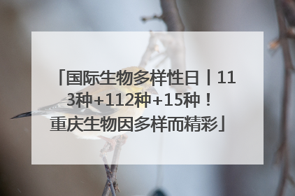 国际生物多样性日丨113种+112种+15种！重庆生物因多样而精彩