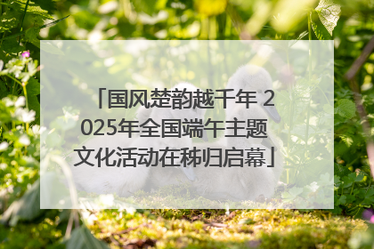 国风楚韵越千年 2025年全国端午主题文化活动在秭归启幕
