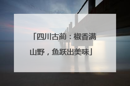 四川古蔺：椒香满山野，鱼跃出美味