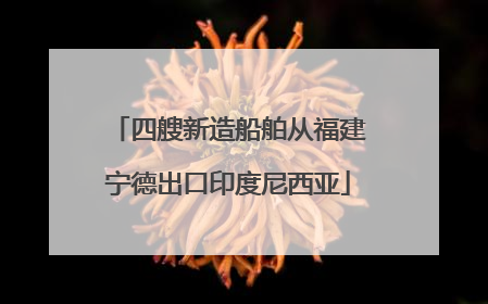 四艘新造船舶从福建宁德出口印度尼西亚