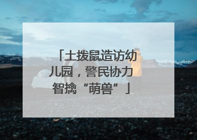 土拨鼠造访幼儿园，警民协力智擒“萌兽”