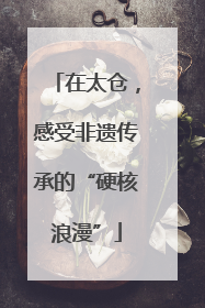 在太仓，感受非遗传承的“硬核浪漫”