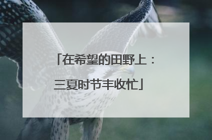 在希望的田野上：三夏时节丰收忙