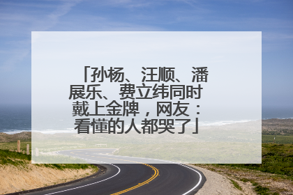 孙杨、汪顺、潘展乐、费立纬同时戴上金牌，网友：看懂的人都哭了
