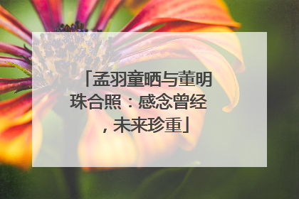 孟羽童晒与董明珠合照：感念曾经，未来珍重