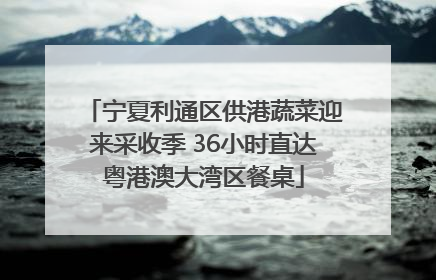 宁夏利通区供港蔬菜迎来采收季 36小时直达粤港澳大湾区餐桌