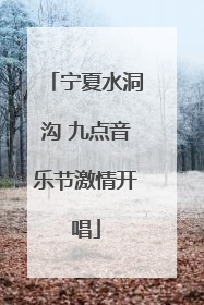 宁夏水洞沟 九点音乐节激情开唱