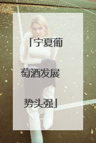宁夏葡萄酒发展势头强