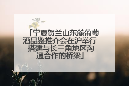 宁夏贺兰山东麓葡萄酒品鉴推介会在沪举行 搭建与长三角地区沟通合作的桥梁