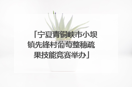 宁夏青铜峡市小坝镇先锋村葡萄整穗疏果技能竞赛举办