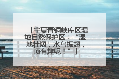 宁夏青铜峡库区湿地自然保护区：“湿地壮阔，水鸟振翅，顶有趣呢！”